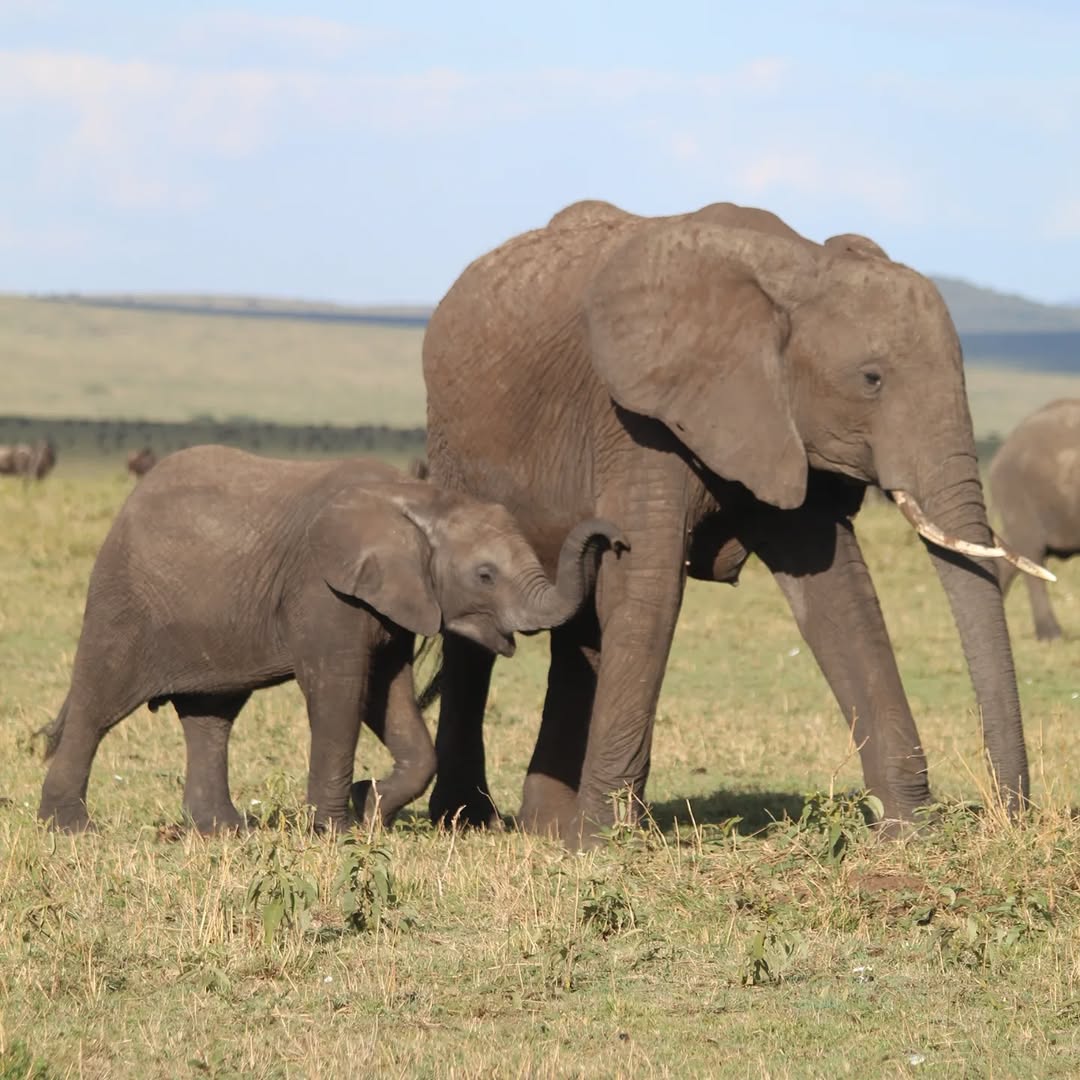 Lake Eyasi Landscape